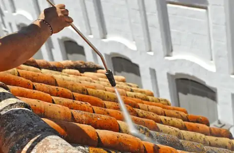 Nettoyage de toitures - Nernier